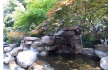 濱江景觀噴泉---小橋流水